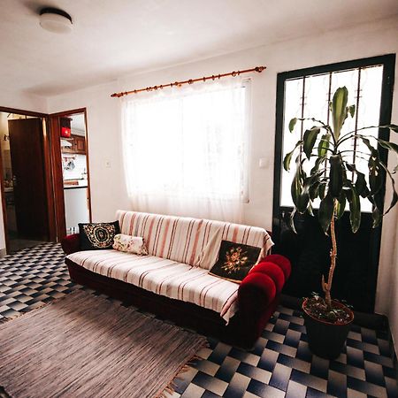 São VicenteCasa Da Avo Rosa公寓 外观 照片
