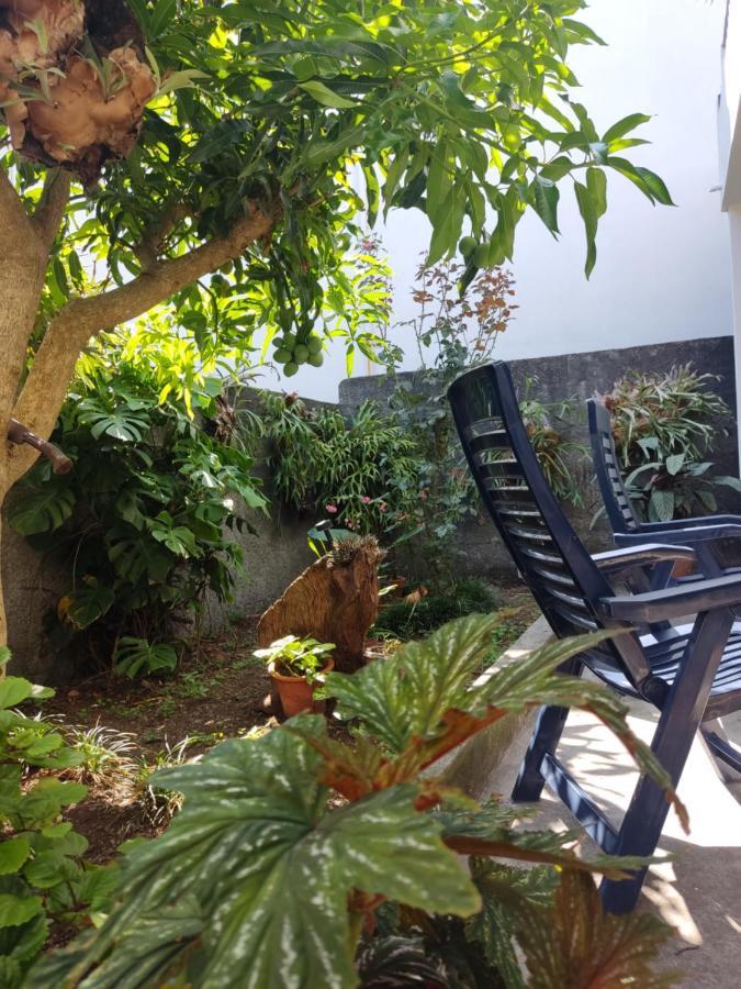 São VicenteCasa Da Avo Rosa公寓 外观 照片