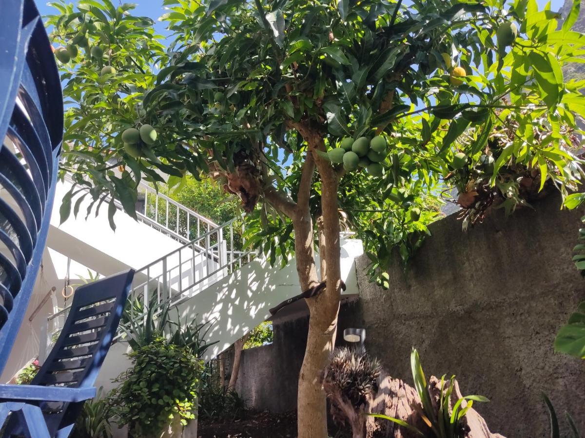 São VicenteCasa Da Avo Rosa公寓 外观 照片