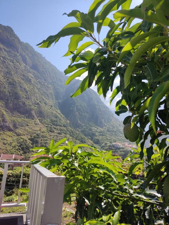 São VicenteCasa Da Avo Rosa公寓 外观 照片