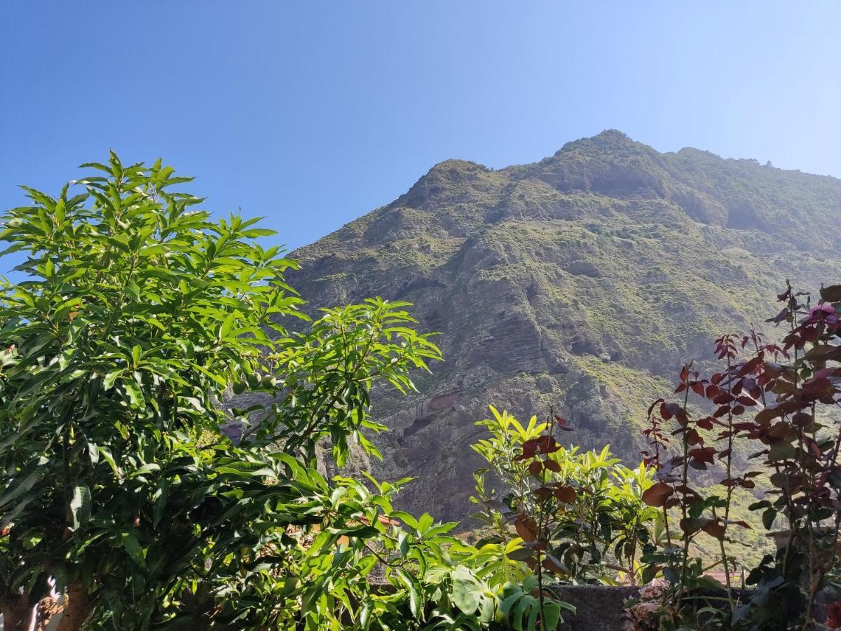 São VicenteCasa Da Avo Rosa公寓 外观 照片