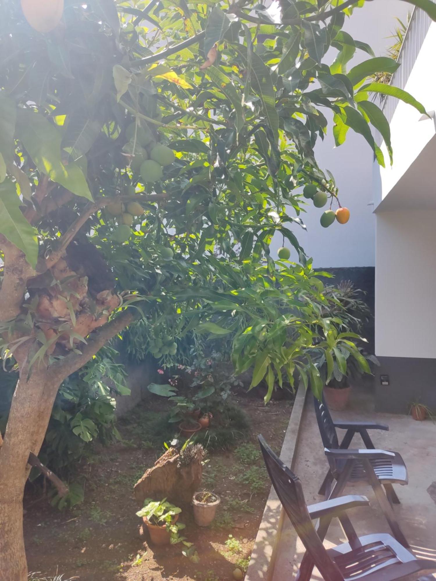 São VicenteCasa Da Avo Rosa公寓 外观 照片
